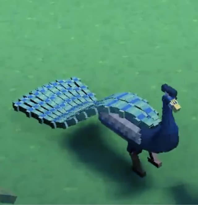 Peacock